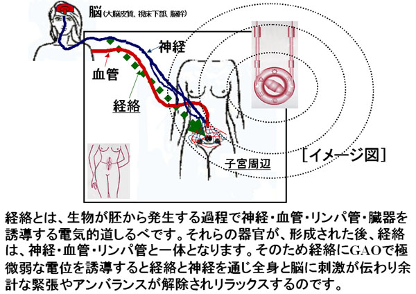 ɂƐOǌQiPMS)ւGAǑʌ